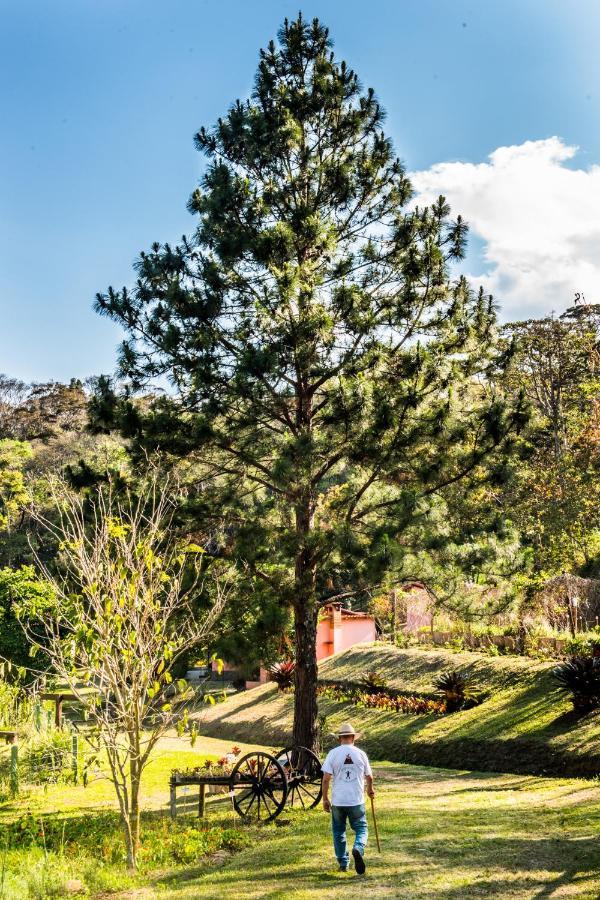 Sitio Araxa - 82 Anos De Historia - Suite Confortavel Em Meio A Floresta Пати до Алферес Екстериор снимка