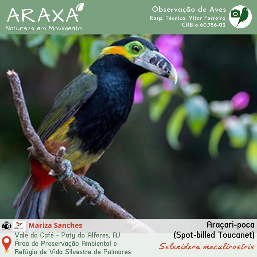 Sitio Araxa - 82 Anos De Historia - Suite Confortavel Em Meio A Floresta Пати до Алферес Екстериор снимка